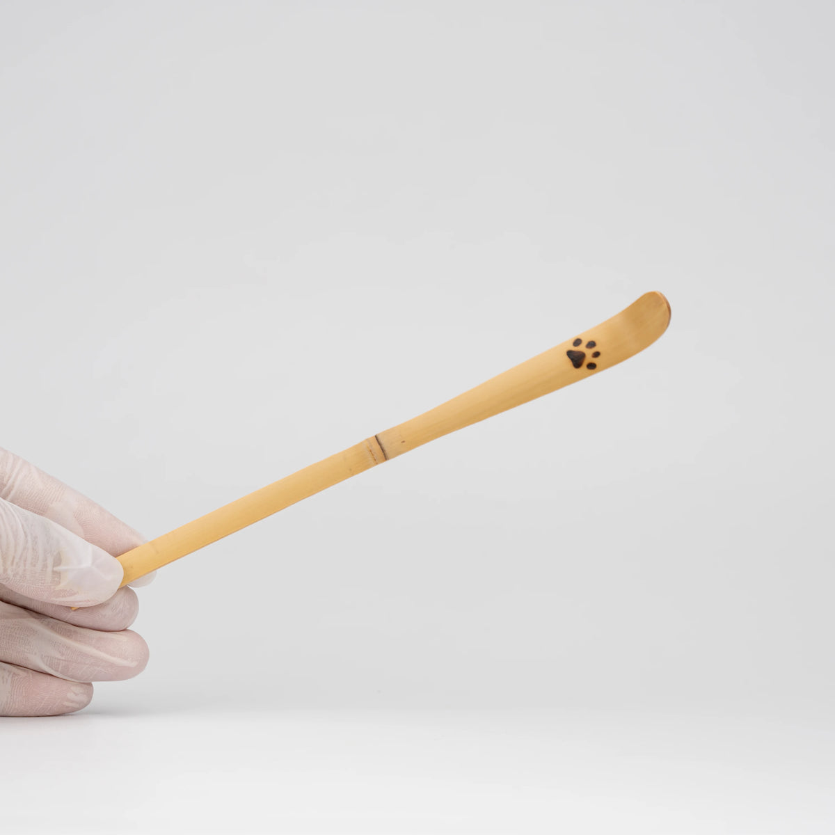 Paw-print bamboo matcha scoop, held in a hand to show scale.