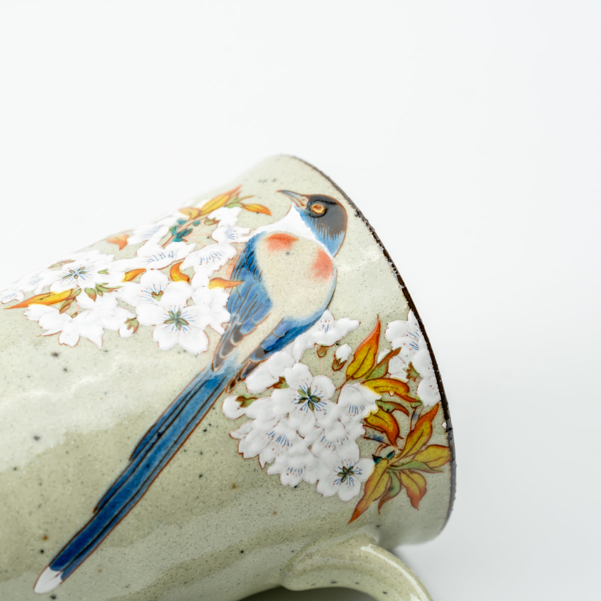 Close-up of a long-tailed blue bird among white cherry blossoms on the pale green Kutani mug.