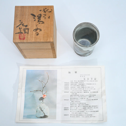 Toida Takatsugu Kohiki Sencha Yunomi — Vintage Japanese Tea Cup with Tomobako — vue 2