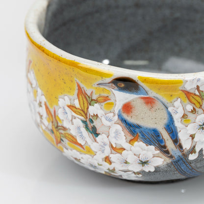 Kutani Matcha Bowl, Yoshidaya Style Bird and Wild Cherry Chawan in Wooden Box