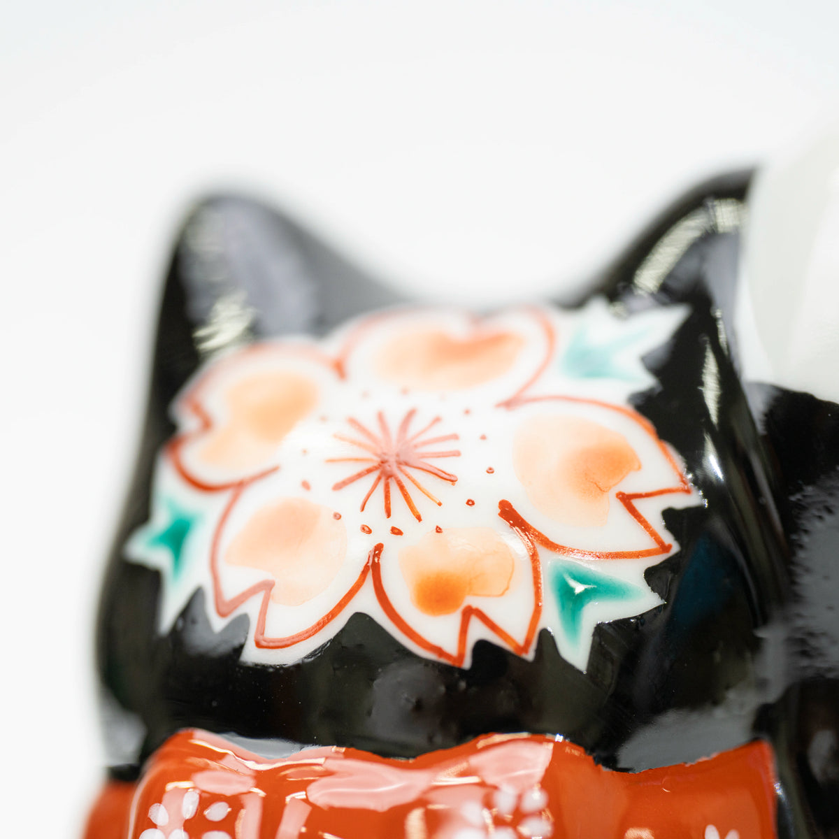 Close-up of a cherry blossom on the back of the cat's head
