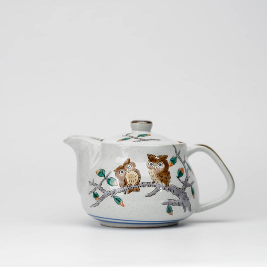 Owl teapot, whole view on a neutral background.