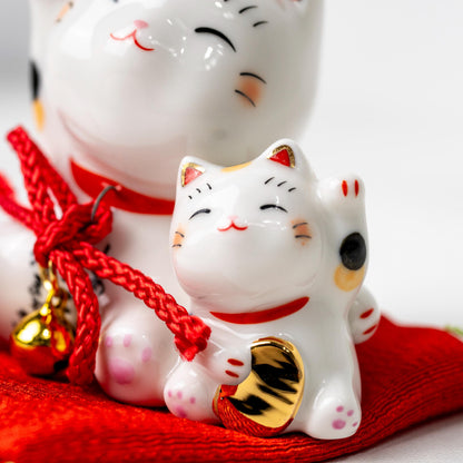 Close-up of mother and kitten lucky cat faces