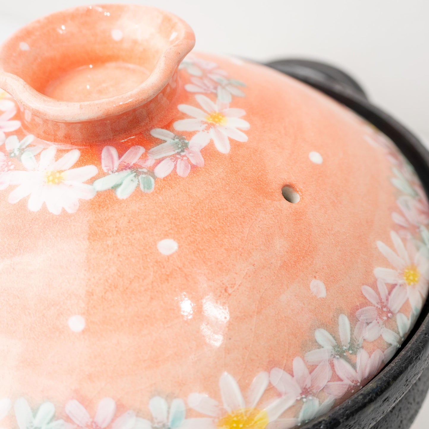 Full side view of Banko ware donabe clay pot with lid