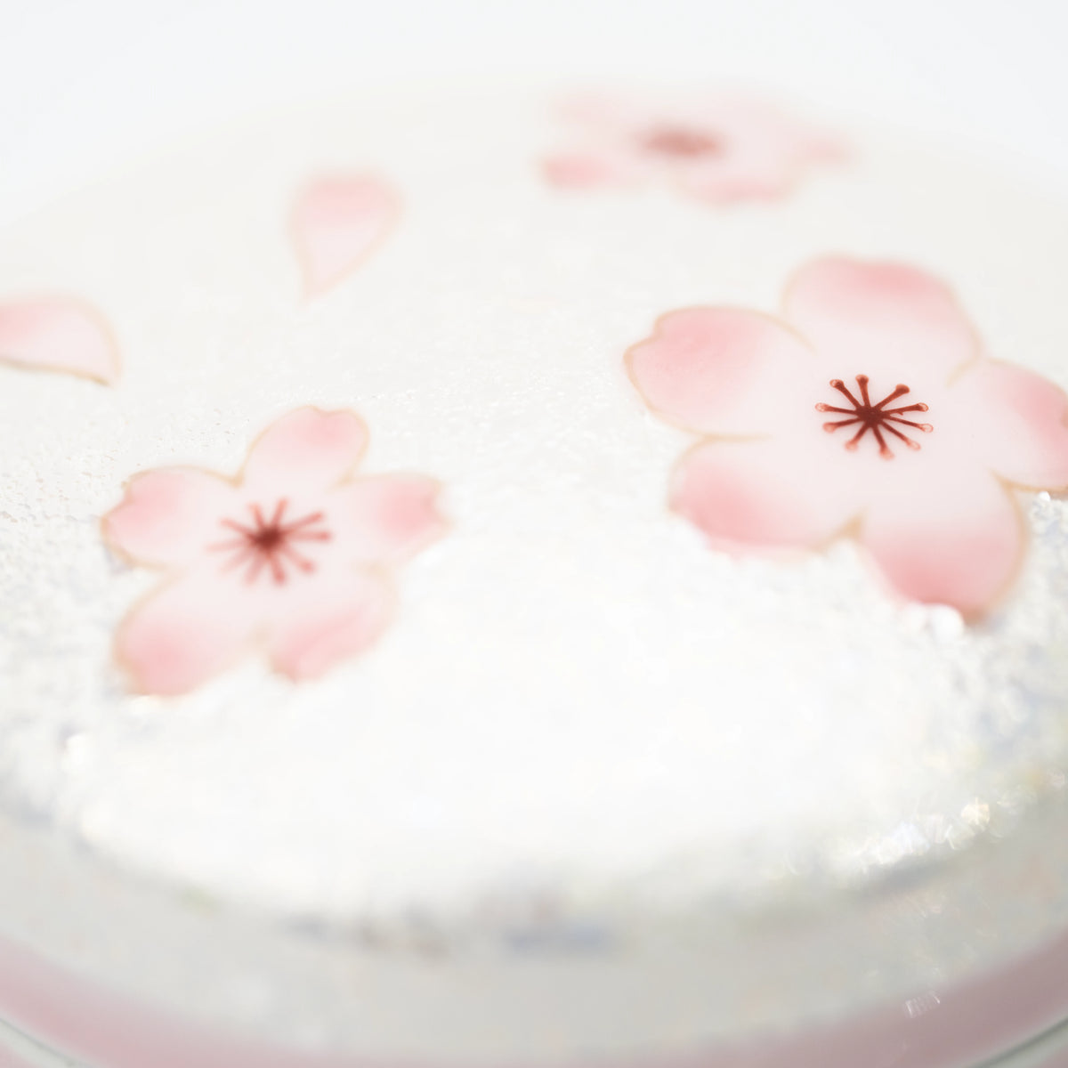 Close-up of pink cherry blossoms across the box lid.