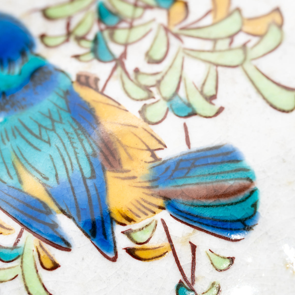 Close-up of the blue kingfisher's tail and surrounding leaves.