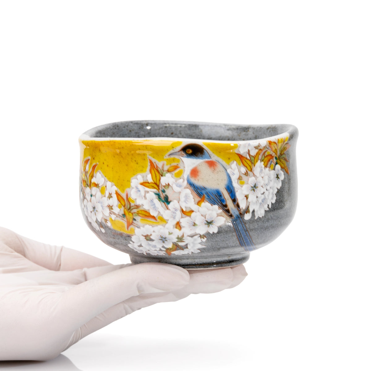 Bird and cherry blossom matcha bowl held in a gloved hand.