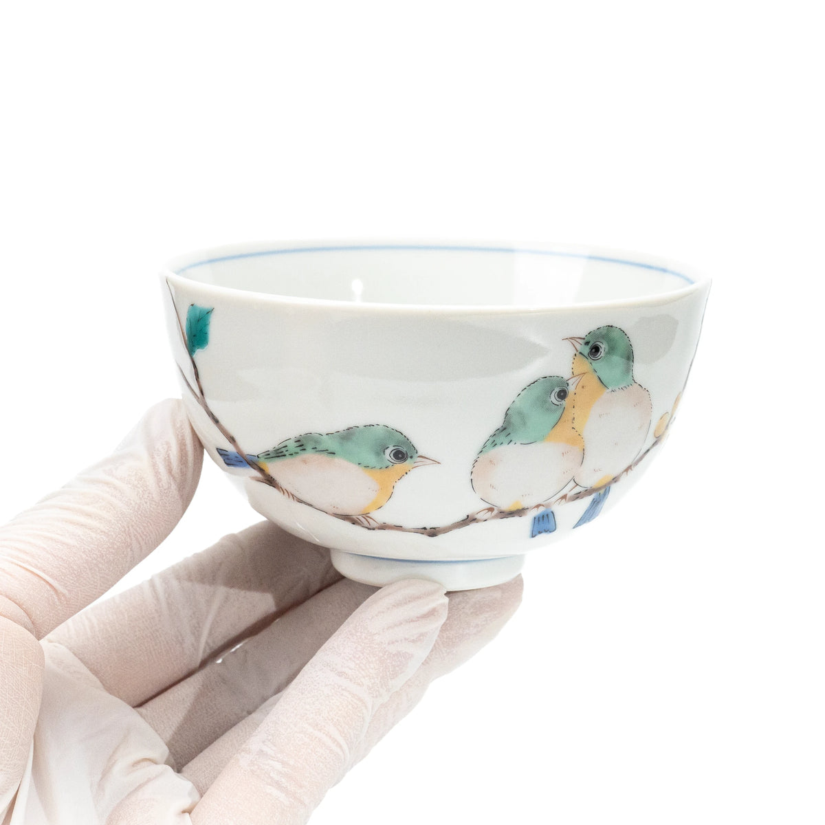 Bird rice bowl held in a gloved hand.