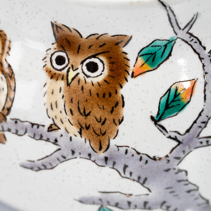 Close-up of an owl with wide eyes on the Kutani teapot.