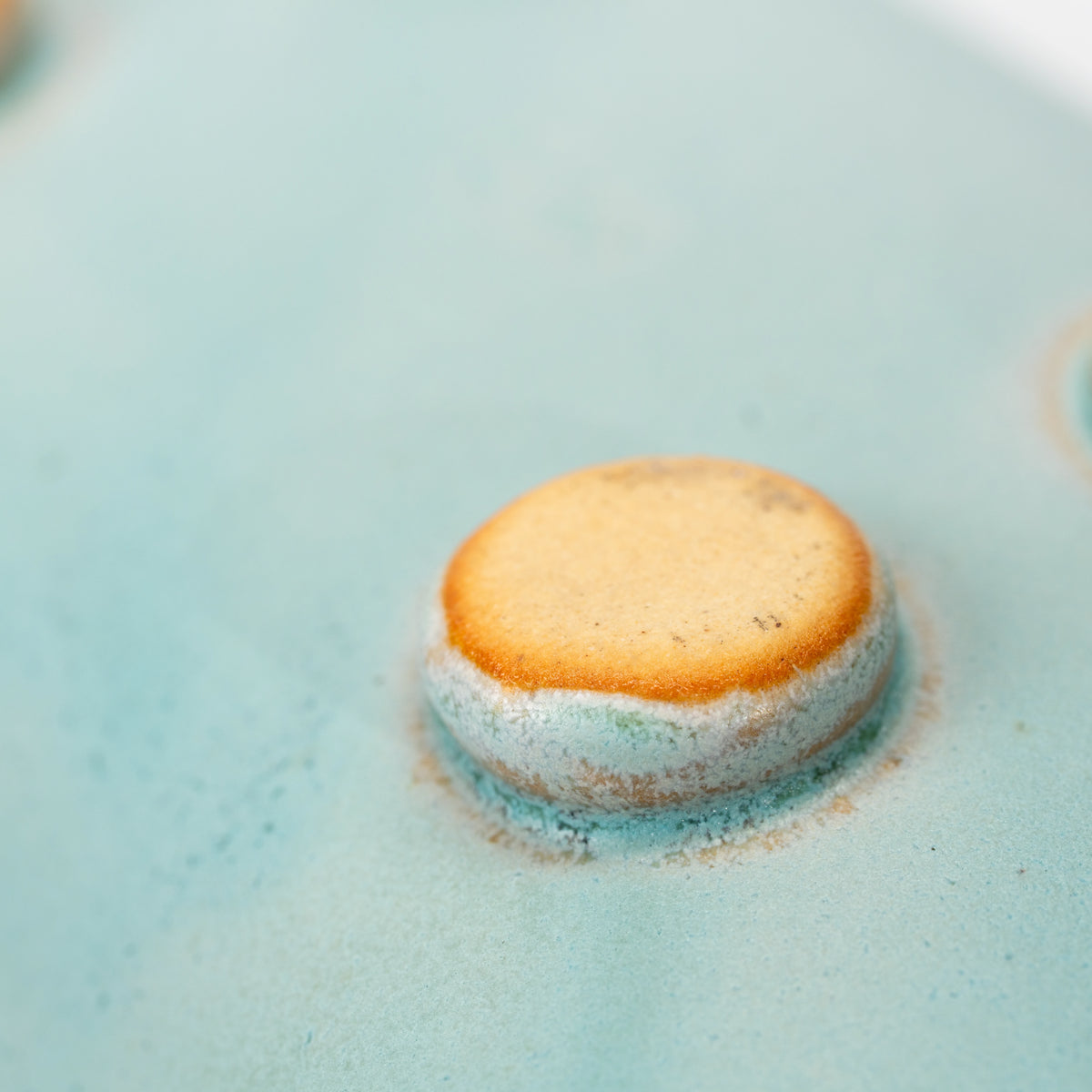 Close-up of a rounded foot underneath the pale blue Hechimon vase.