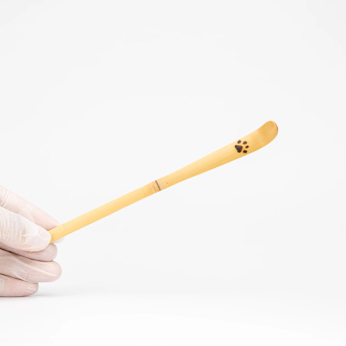 Paw-print bamboo matcha scoop held in a gloved hand.