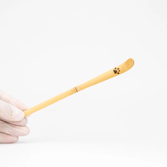 Paw-print bamboo matcha scoop held in a gloved hand.