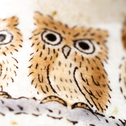 Close-up of two small owls on a branch on the Kutani mug.