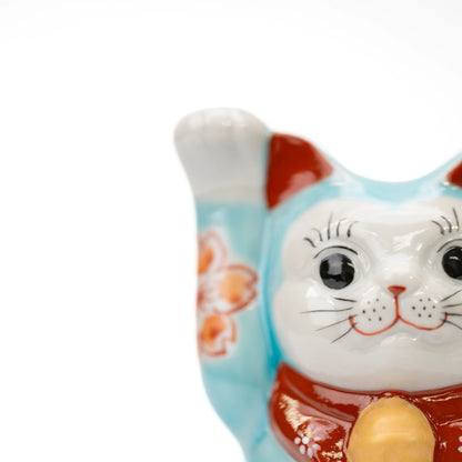 Raised paw and face of the turquoise cherry blossom cat.